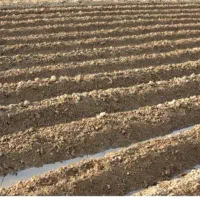 ۳۴ هکتار زمین کشاورزی