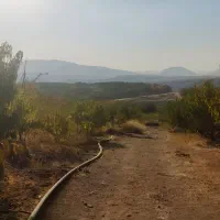 باغ میوه و آجیل پل زمان خان (معاوضه با خودرو )