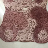 پادری