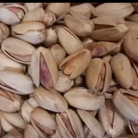 فروش پسته اکبری زیر قیمت بازار