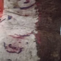 نمد سالم