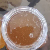 عسل انرژی زای نهاوند