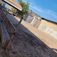 اصطبل-اسب-و-خانه-رداده