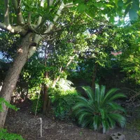 خانه ویلایی فروش یا معاوضه