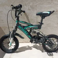 دوچرخه حرفه ای