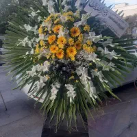 تاج گل