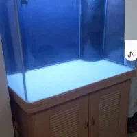 آکواریوم خارجی شیشه خم با ابعاد حرفه ای