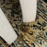 فرش ۴متری|فرش|تهران, علی‌آباد|دیوار