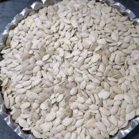 فروش تخمه کدو درجه یک و محلی|خوردنی و آشامیدنی|یزد, |دیوار