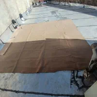 موکت|موکت|ارومیه, |دیوار