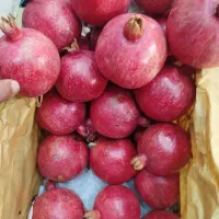 پخش مستقیم انار ممتاز شهرضا|خوردنی و آشامیدنی|اصفهان, پوریای ولی|دیوار