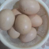 تخم مرغ لاری اصیل