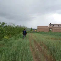 اجاره گاوداری|اجارهٔ دفتر صنعتی، کشاورزی، تجاری|اهر, |دیوار