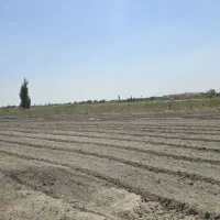 زمین زراعی کشاورزی مناسب درسعیدلو