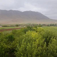 زمین در بهترین جای گوار
