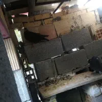 چند عدد کبوتر|پرنده|جم, |دیوار