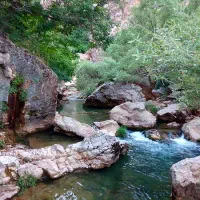 تور تفریحی