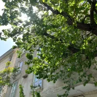 یک واحد 70متری حیاط دار(کرمان جنوبی)