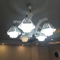 لوستر چوب راش سفید درحد