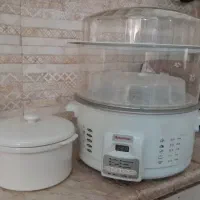 هواپز و بخار پز