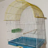 گرینچیک|پرنده|کرج, حسن آباد|دیوار