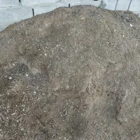 کود حوانی بز