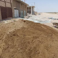 کود گاوی وگوسفندی
