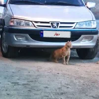 پژو پارس مدل88 در حد