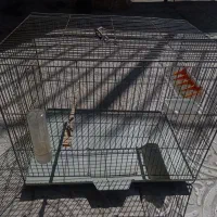 قفس پرنده