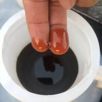 شیره انگور و کشمش