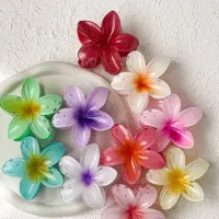 قیمت هریکی ۱۰۰