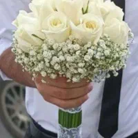 اجاره ماشین عروس|خودرو اجاره‌ای|قزوین, |دیوار