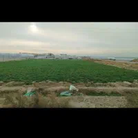 زمین کشاورزی با مجوز گلخانه