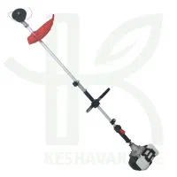 سم پاشی و علف زنی در باغ و باغچه