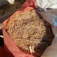 کاه گندم|حیوانات مزرعه|کوار, |دیوار