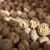 گردو درجه یک