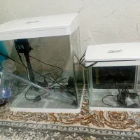 اکواریوم شرکتی