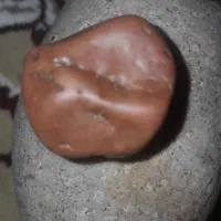 سنگ|جواهرات|رودهن, |دیوار