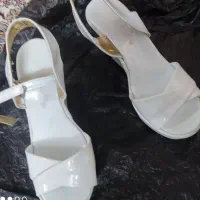 کفش مجلسی و بوت|کیف، کفش، کمربند|قم, باجک یک|دیوار