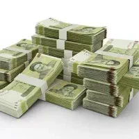 ضامن نیازمندیم