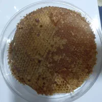 عسل طبیعی کوهستان|خوردنی و آشامیدنی|تهران, جمهوری|دیوار