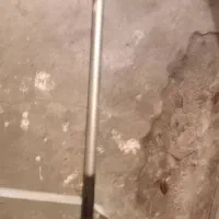 لوله ماهی کاسی