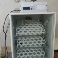 دستگاه جوجه کشی۱۲۶تای تمام اتوماتیک دست دوم