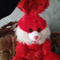 خرگوش پشمی