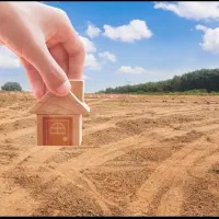 زمین در شادگان برای فروش