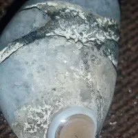 جواهر مروارید عتیقه که ازشکم ماهی دراومده|کلکسیون اشیاء عتیقه|اردبیل, |دیوار