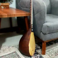 دوتارشمال خراسان|سازهای سنتی|بجنورد, |دیوار