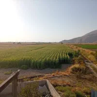 زمین کشاورزی 3 هکتار