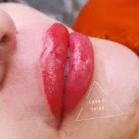 میکرو تاتوکامل صورت بدن سوراخ گوش برداشتن خال و...|خدمات آرایشگری و زیبایی|پرند, فاز ۴|دیوار