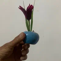 گلدان دکوری